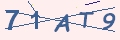 Verify Code